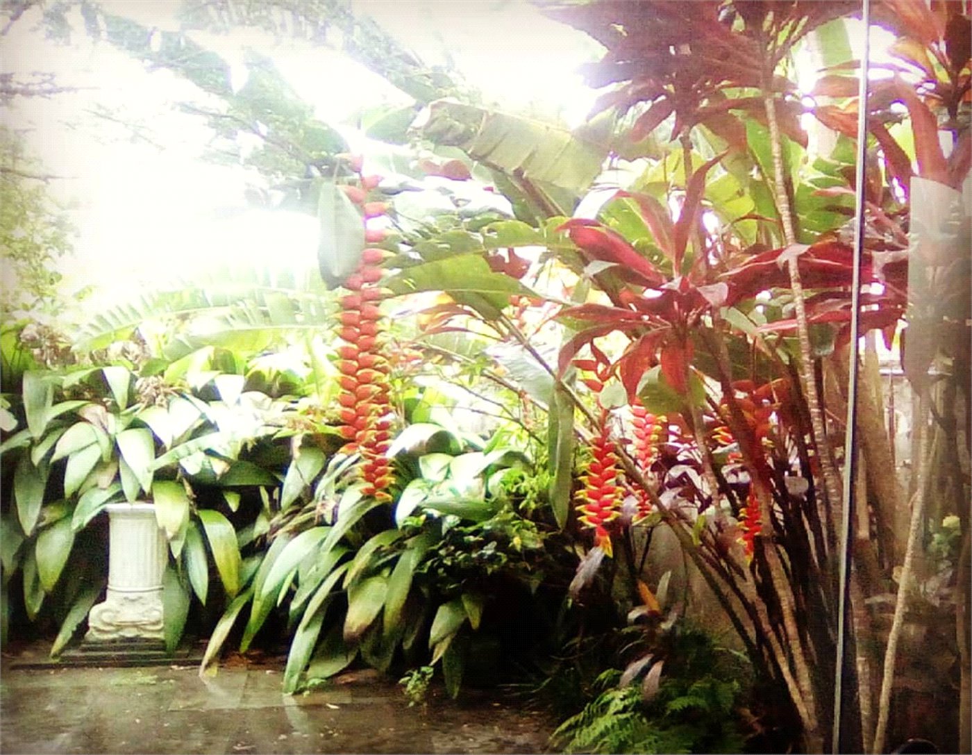 Casa à venda com 4 quartos, sendo 1 suíte, em Jardim das Bandeiras, São Paulo, SP