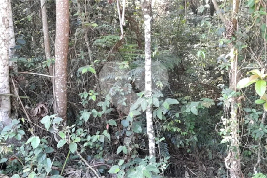Terreno à venda em Roseira, Mairiporã, SP