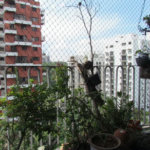 Apartamento à venda com 4 quartos, sendo 1 suíte, em Jardim Ampliação, São Paulo, SP