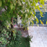 Sobrado à venda com 2 quartos em Chácara Monte Alegre, São Paulo, SP