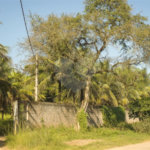 Área de Terra à venda com 1 suíte em Campo Grande, Rio de Janeiro, RJ