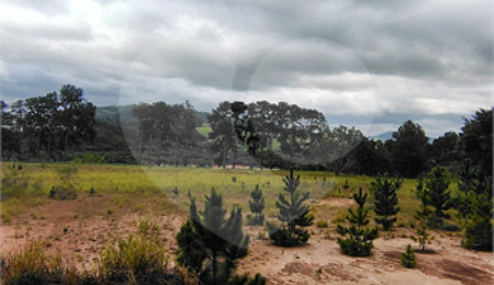 Terreno à venda em Parque Hortência, Bom Jesus dos Perdões, SP