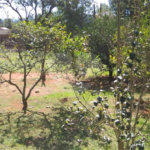 Casa Térrea à venda com 2 quartos em Chácara Real (caucaia do Alto), Cotia, SP