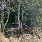 Sítio à venda com 3 quartos, sendo 1 suíte,  em Da Barra, Salto de Pirapora, SP