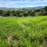 Terreno à venda no condomínio Residencial Jardim Primavera, Louveira - SP