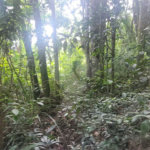 Terreno à venda em Mantiqueira, Mairiporã, SP