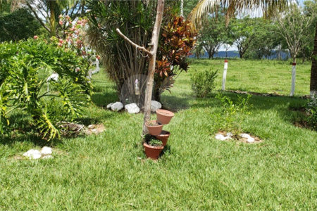 Sitio para venda.