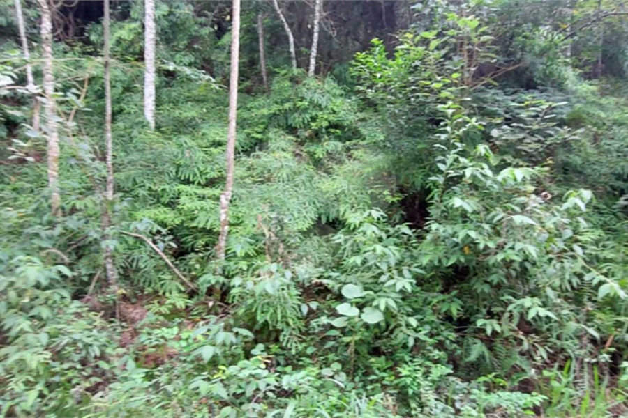 Terreno à venda no condomínio Sausalito, Mairiporã - SP