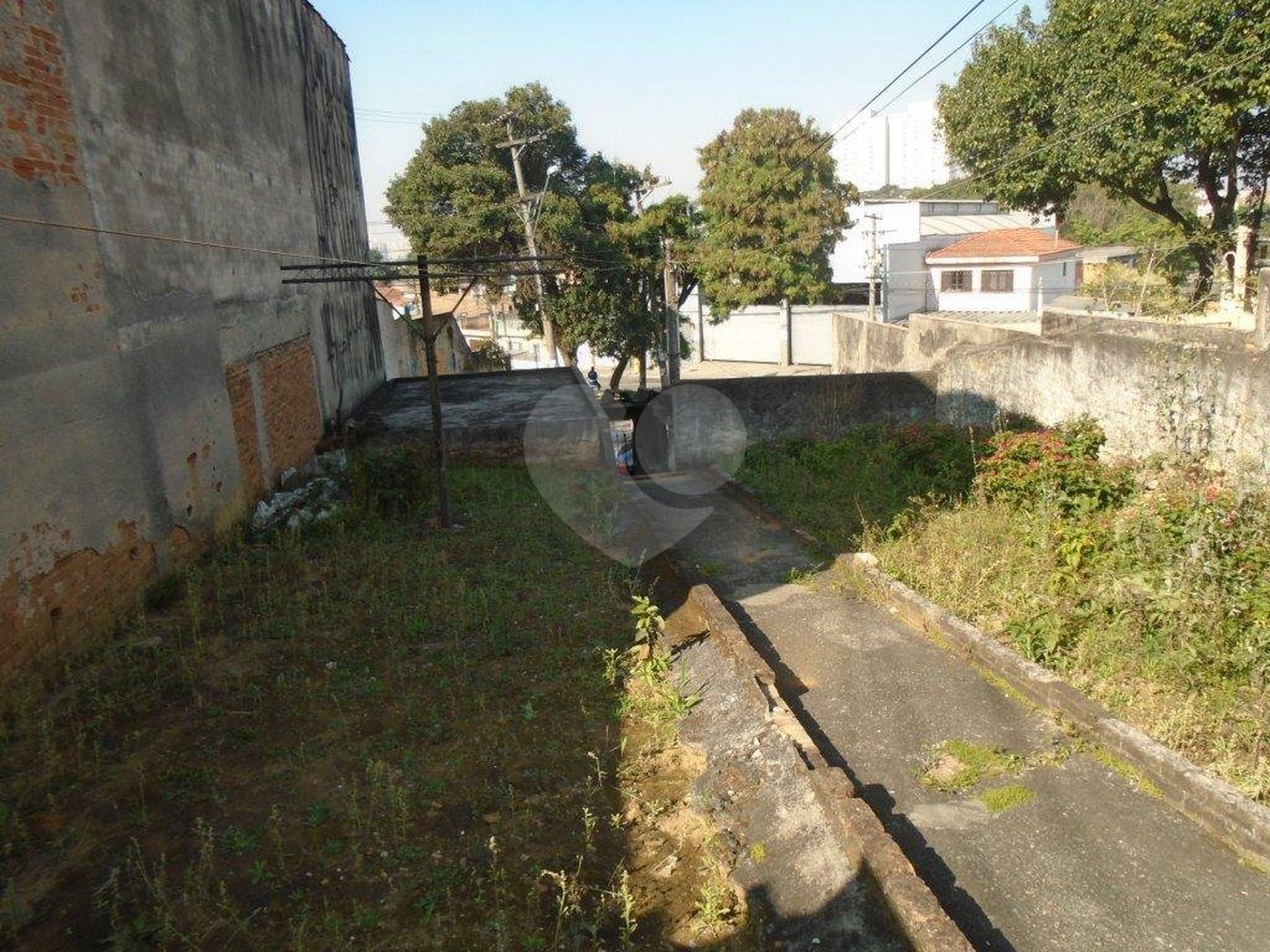 Casa Térrea à venda com 3 quartos em Jardim Japão, São Paulo, SP