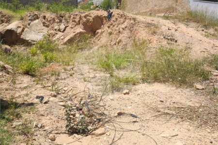 Terreno à venda no condomínio Reserva da Mata, Vinhedo - SP