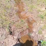 Fazenda à venda com 2 quartos no Centro, Estreito, MA