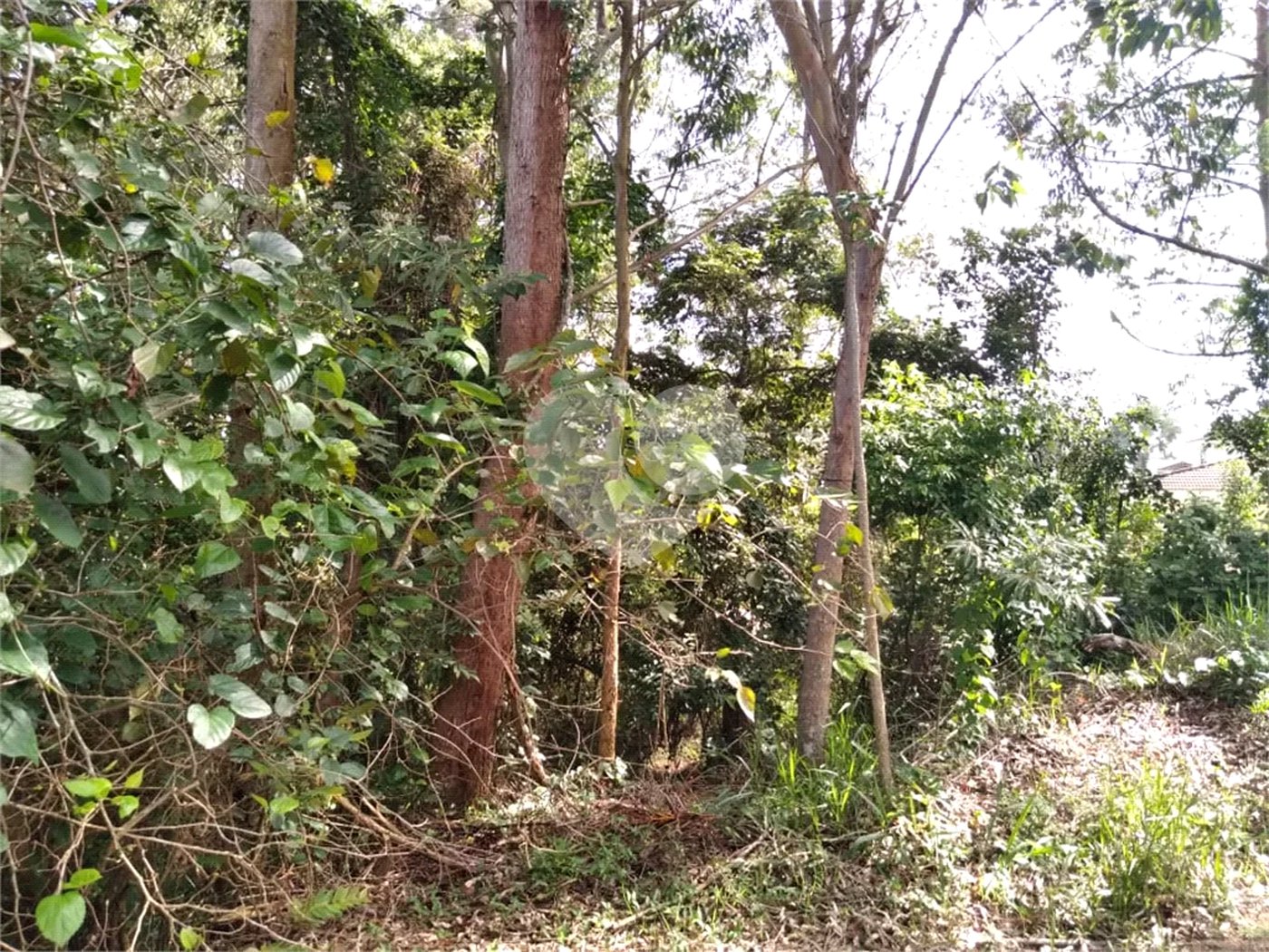 Terreno à venda no condomínio Suíça da Cantareira, Mairiporã - SP