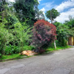 Terreno à venda no condomínio Cantareira, Mairiporã - SP