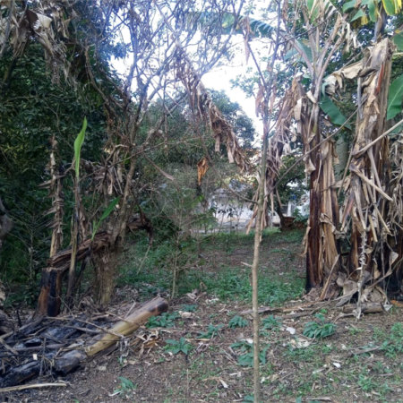 Terreno à venda ou para alugar no condomínio São Marcos, São Paulo - SP