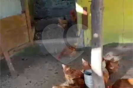 Chácara à venda com 3 quartos, sendo 1 suíte,  em Loteamento Jardim Nova Ibiúna, Ibiúna, SP