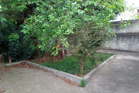 Sobrado à venda com 3 quartos em Vila Maria Alta, São Paulo, SP