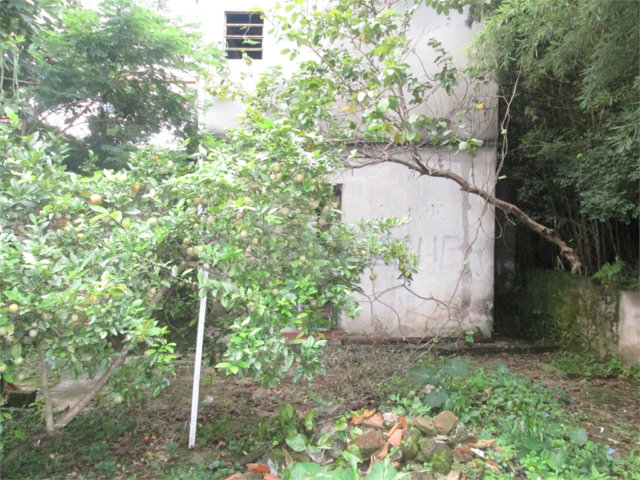 Casa Térrea à venda com 1 quarto em Santana, São Paulo, SP