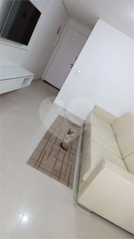 Apartamento à venda com 3 quartos, sendo 1 suíte,  em Vila Mariana, São Paulo, SP