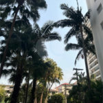 Apartamento à venda com 2 quartos em Casa Verde, São Paulo, SP