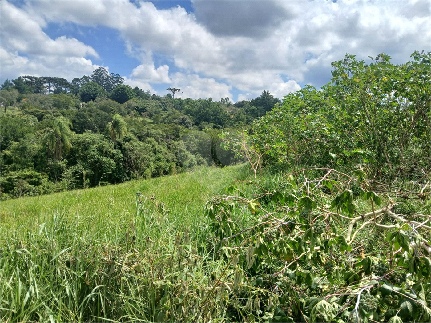 Terreno à venda com 1 quarto em Bairro Biscoito Duro, Itapetininga, SP