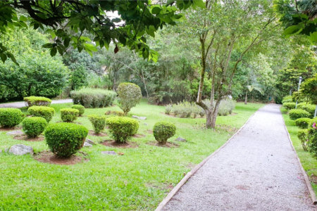 Terreno à venda em Jardim São Vicente, Cotia, SP