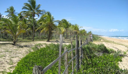 Área de Terra à venda em Mogiquiçaba, Belmonte, BA
