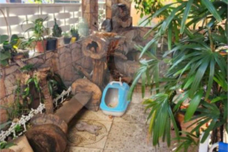 Casa Térrea à venda com 3 quartos, sendo 2 suítes, em Vila Medeiros, São Paulo, SP