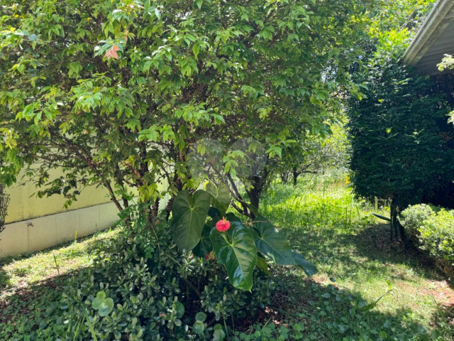 Terreno à venda com 1 quarto em Campo Grande, São Paulo, SP