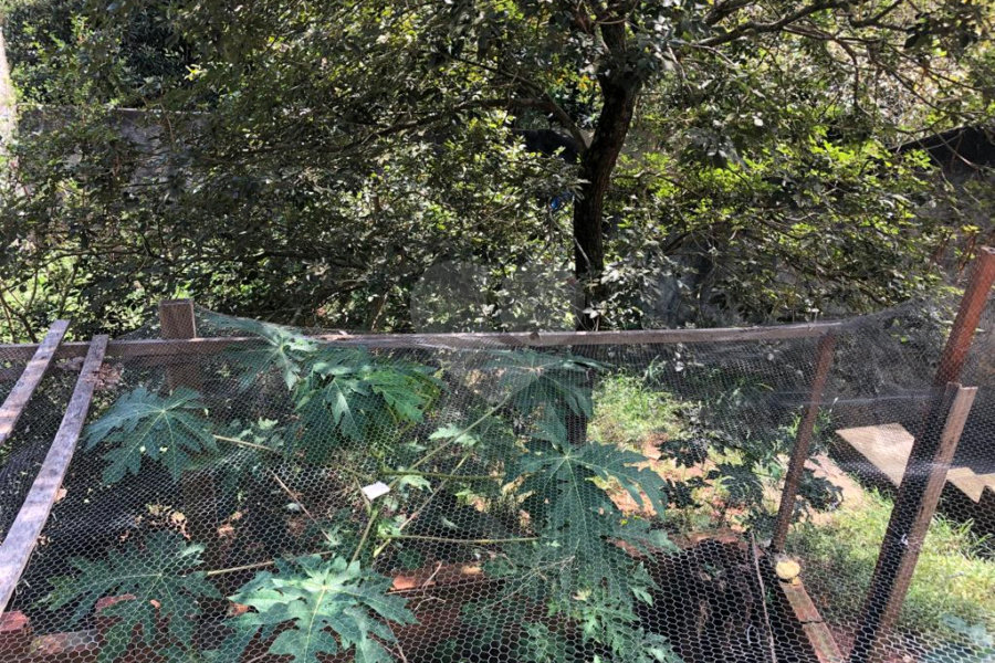 Casa à venda com 5 quartos, sendo 1 suíte, em Serra da Cantareira, Mairiporã, SP