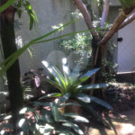 Sobrado à venda com 4 quartos, sendo 1 suíte, em Jardim Novo Mundo, São Paulo, SP