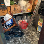 Apartamento à venda com 3 quartos, sendo 1 suíte, em Água Fria, São Paulo, SP