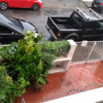 Sobrado à venda com 3 quartos em Chácara Santo Antônio (zona Sul), São Paulo, SP