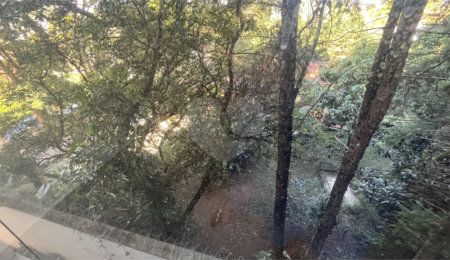 Sala para alugar em Jardim Paulista, Atibaia, SP