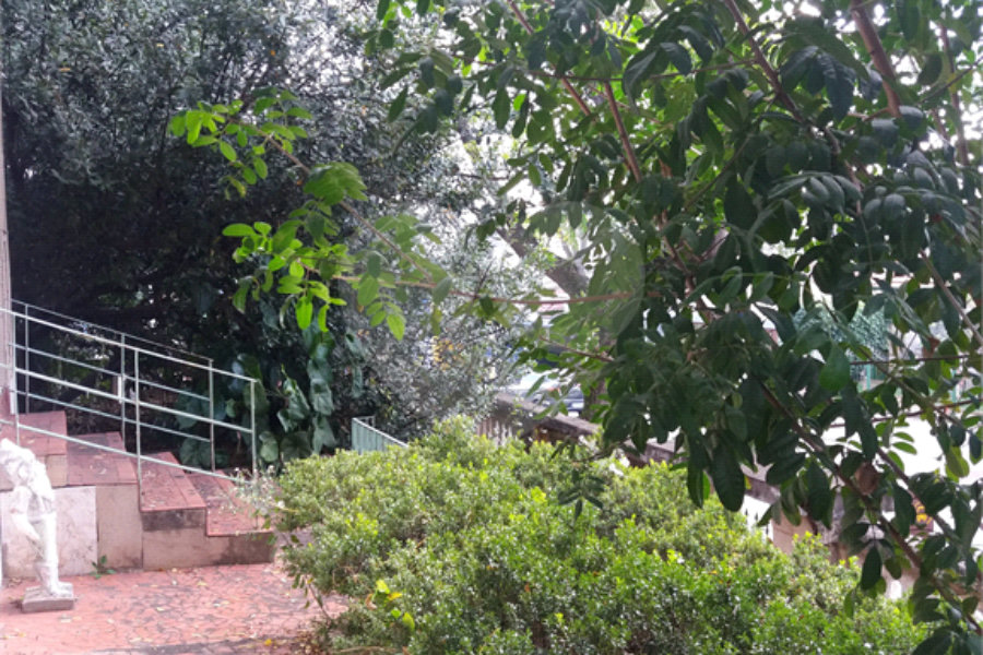 Terreno à venda com 3 quartos em Vila Guilherme, São Paulo, SP