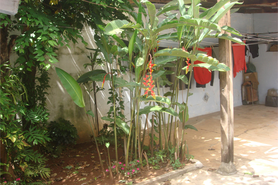 Casa à venda com 3 quartos em Imirim, São Paulo, SP