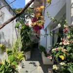 Casa à venda com 4 quartos, sendo 2 suítes,  em Tremembé, São Paulo, SP