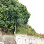 Terreno à venda em Vila Maria, São Paulo, SP