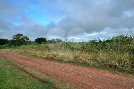 Terreno à venda em Bosque de Ponta Porã, Ponta Porã, MS