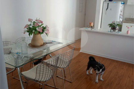 Apartamento à venda com 2 quartos, sendo 1 suíte, em Vila Mazzei, São Paulo, SP