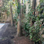 Casa à venda com 3 quartos, sendo 2 suítes, em Morumbi, São Paulo, SP