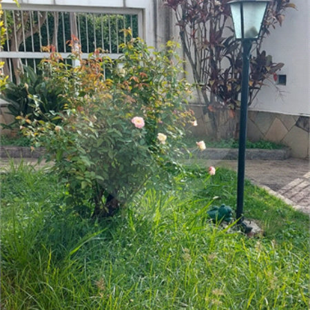 Sobrado à venda com 4 quartos, sendo 2 suítes,  em Jardim Franca, São Paulo, SP