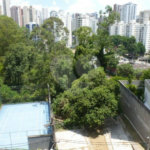 Apartamento à venda com 3 quartos, sendo 1 suíte, em Vila Suzana, São Paulo, SP