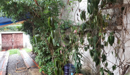 Casa Térrea à venda com 3 quartos em Jardim Marajoara, São Paulo, SP