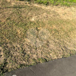 Terreno à venda no condomínio Terras de São José II, Itu - SP