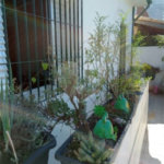 Sobrado à venda com 3 quartos, sendo 1 suíte, em Vila Paulicéia, São Paulo, SP