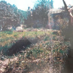 Terreno à venda em Vila Tramontano, São Paulo, SP