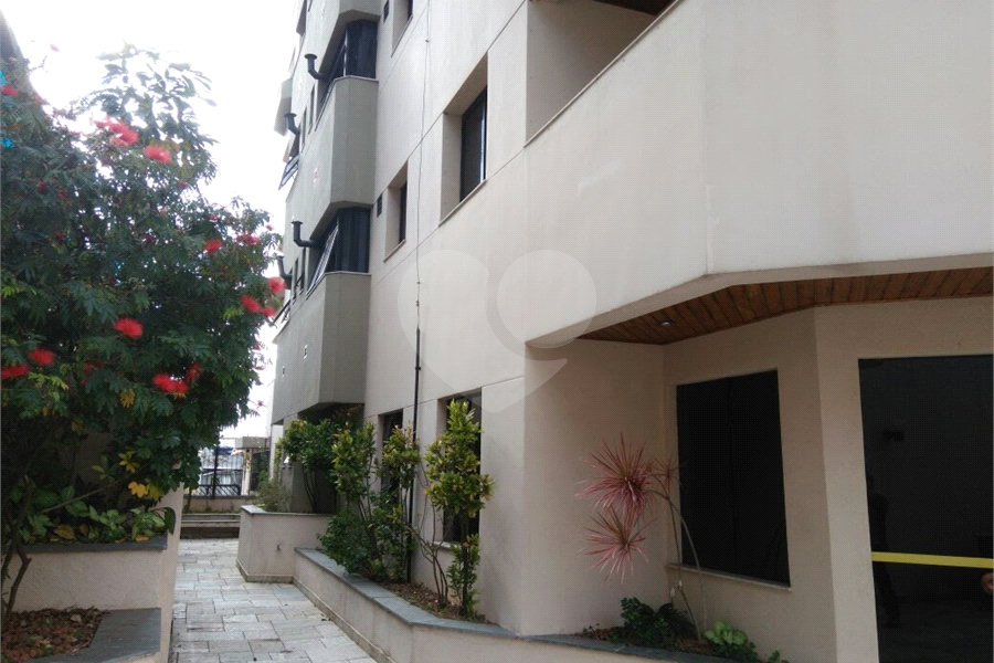 Apartamento à venda com 3 quartos, sendo 1 suíte, em Lauzane Paulista, São Paulo, SP