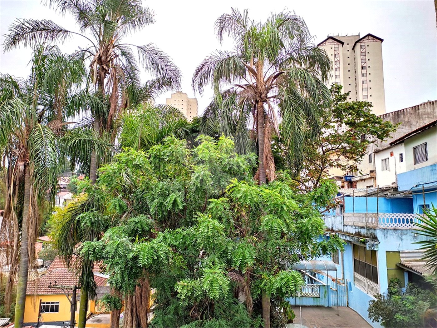 Terreno à venda com 5 quartos em Casa Verde, São Paulo, SP