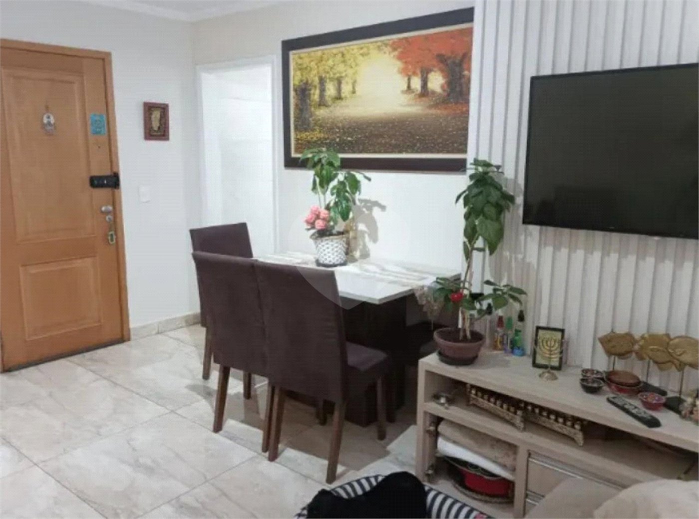 Ótimo apartamento na Vila Mascote, venha fazer uma visita.