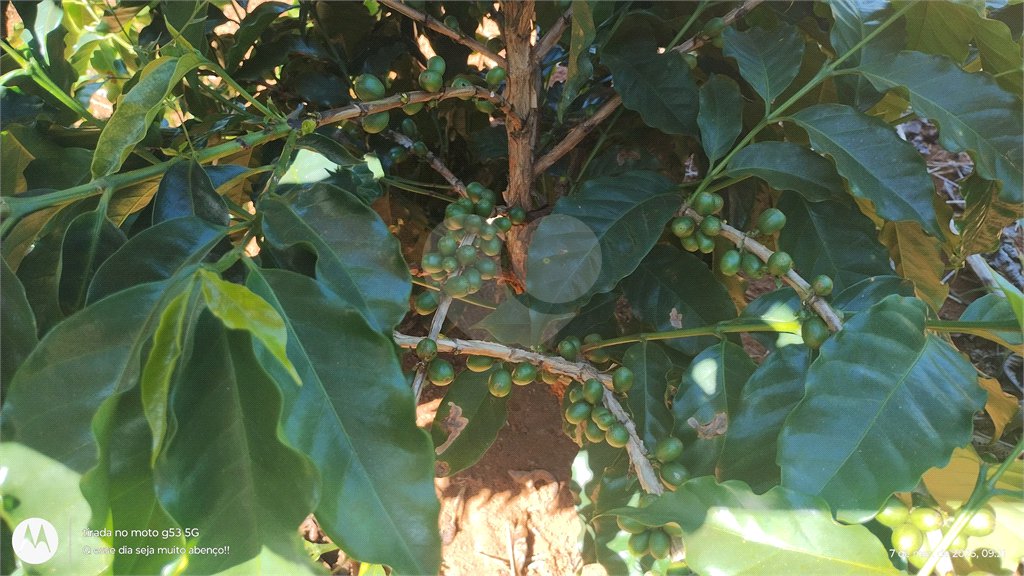 Chácara à venda em Campo Grande, Pilar do Sul, SP